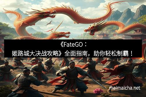 《FateGO：姬路城大决战攻略》全面指南，助你轻松制霸！
